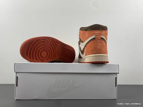 Cheap Husky Retro OG Jordan 3651 High 1 Clay Dusted SP Neat FQ2941- 1027